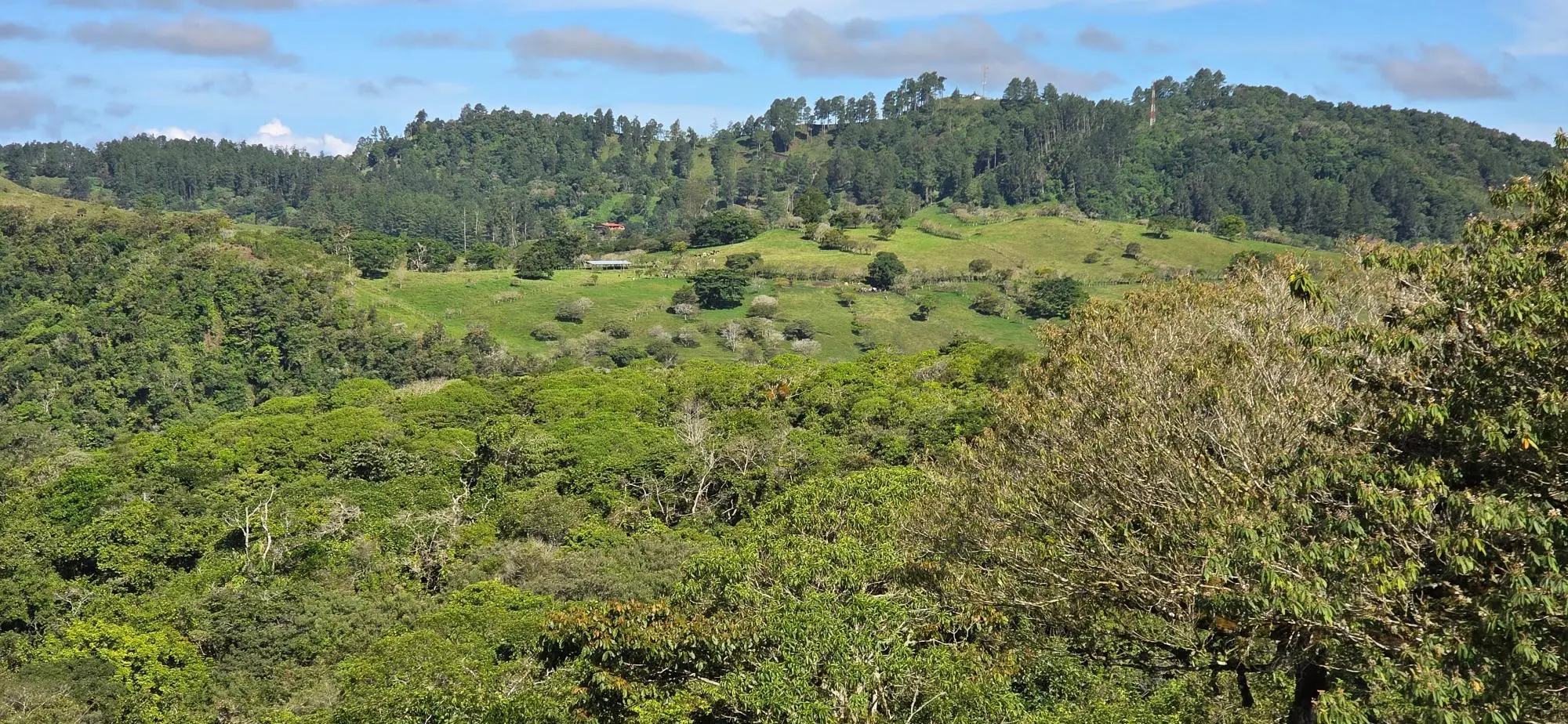 Cordillera Arriba, Boqueròn - Photo 16