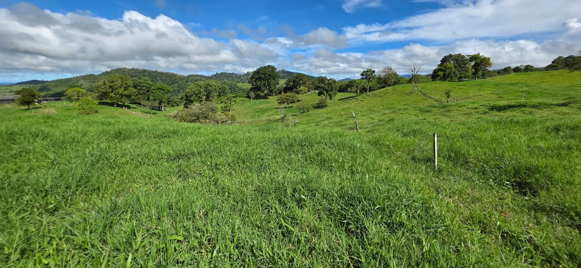 Cordillera Arriba, Boqueròn - Photo 45