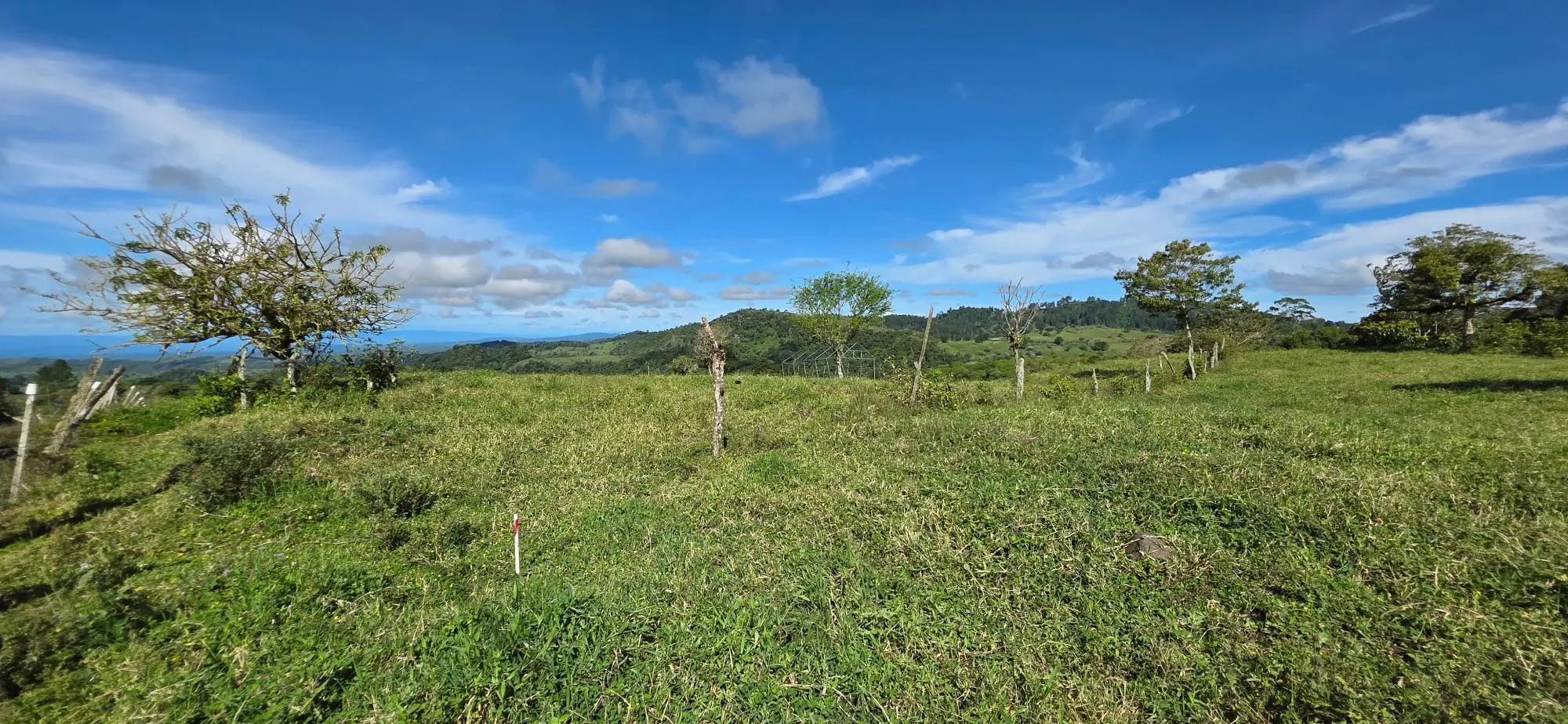 Cordillera Arriba, Boqueròn - Photo 62