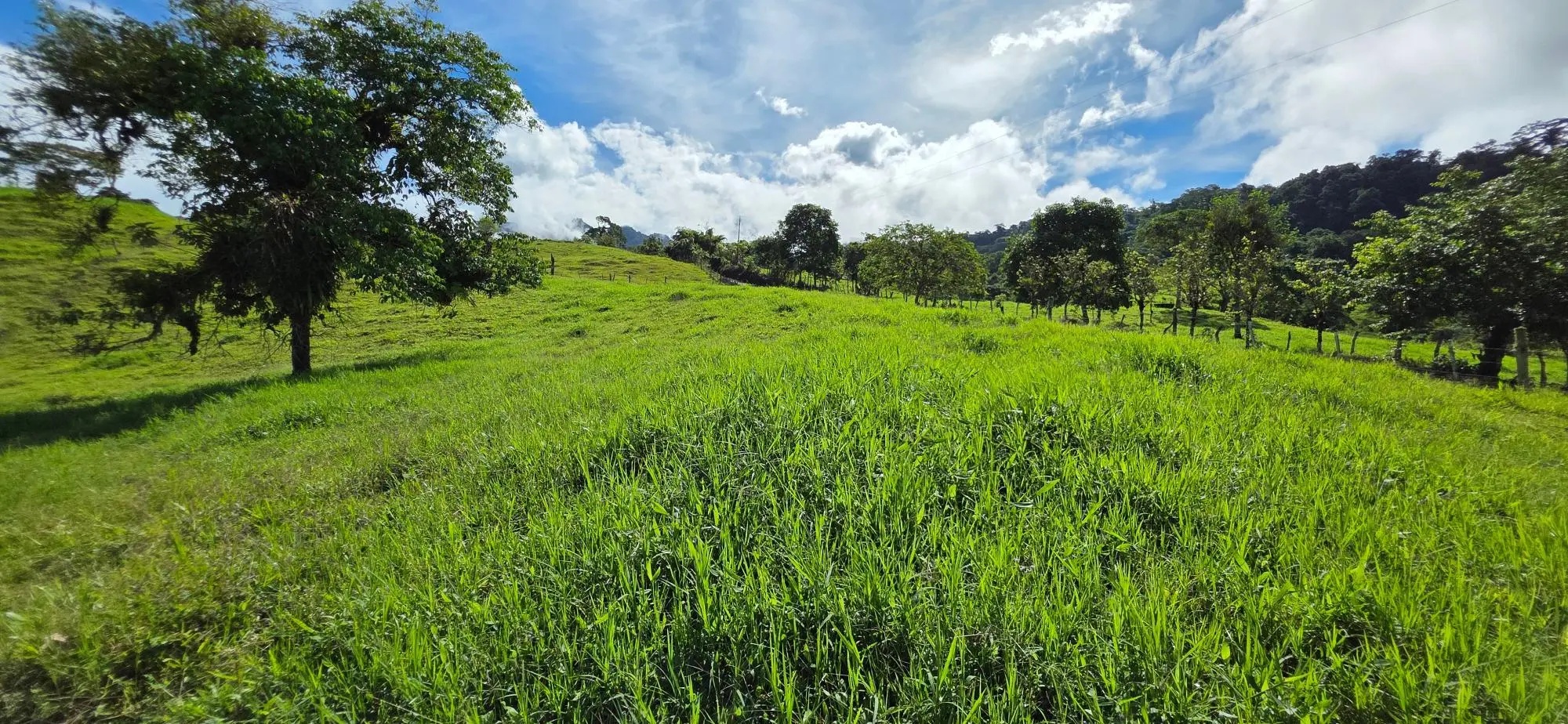 Cordillera Arriba, Boqueròn - Photo 84