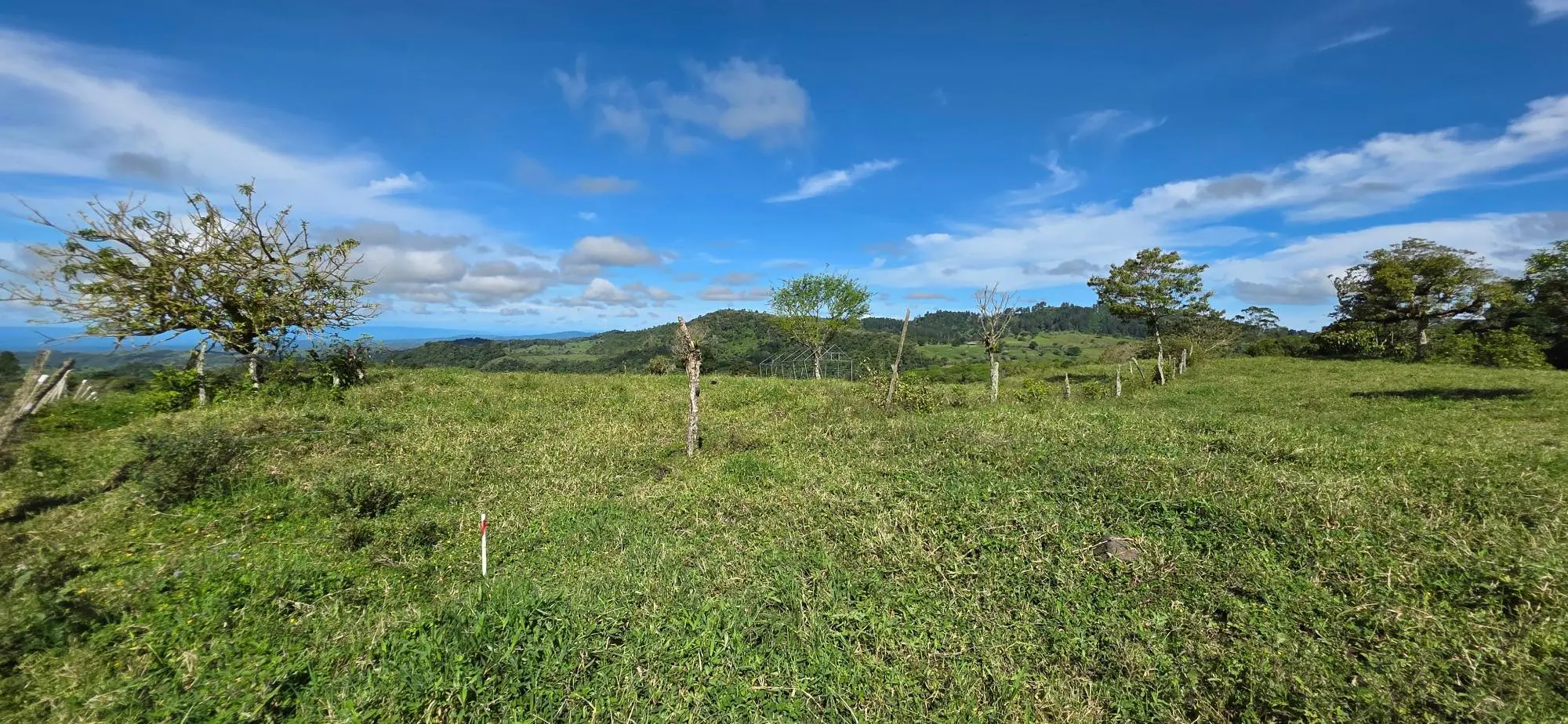 Cordillera Arriba, Boqueròn - Photo 66