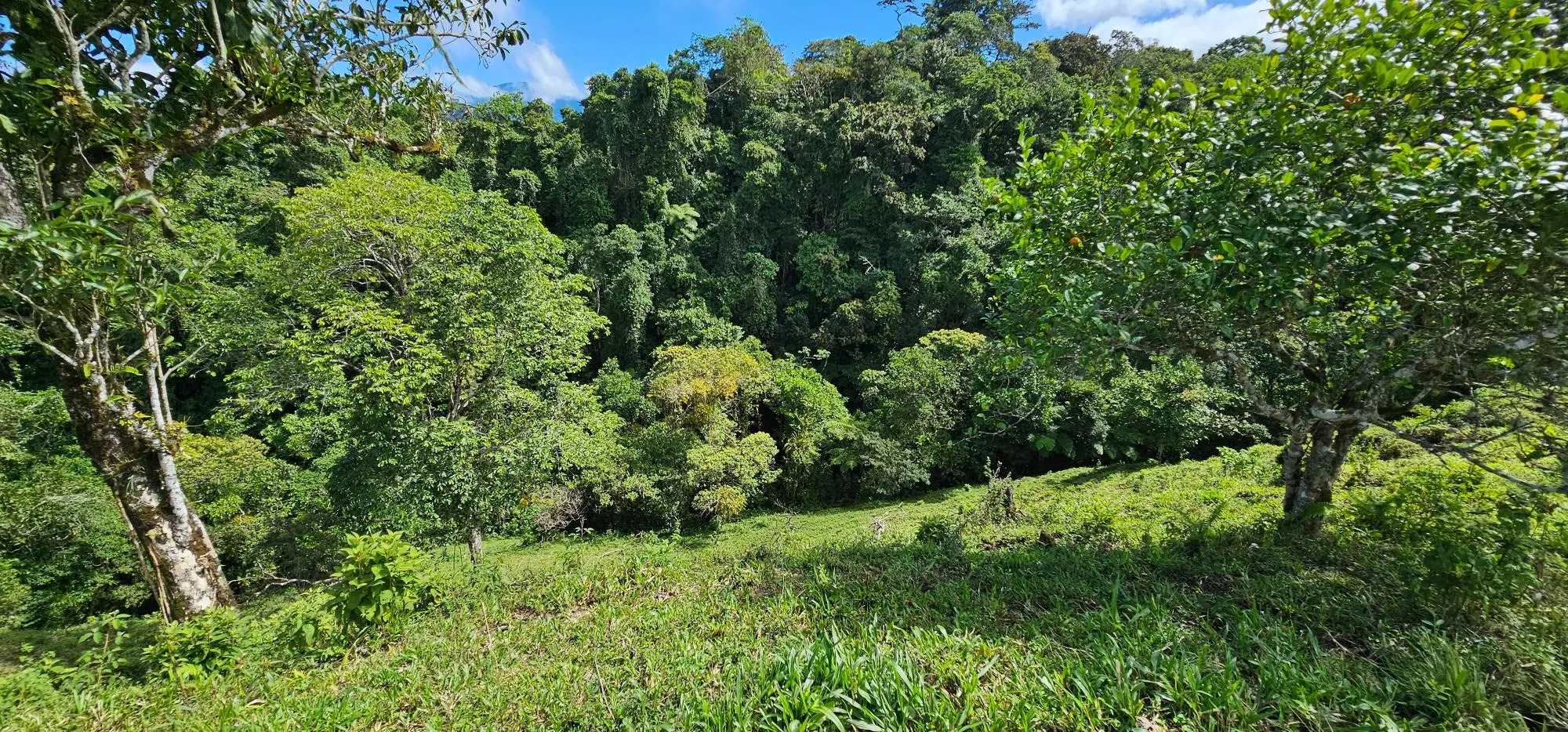Cordillera Arriba, Boqueròn - Photo 56