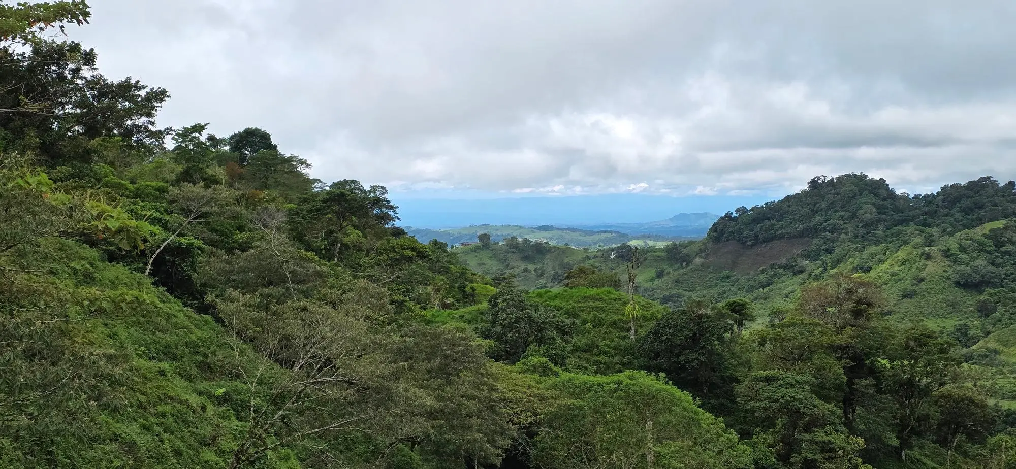 Cordillera Arriba, Boqueròn - Photo 91