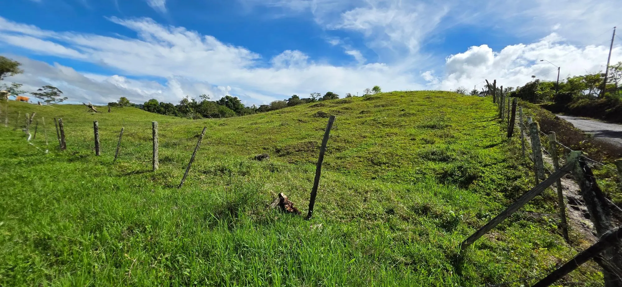Cordillera Arriba, Boqueròn - Photo 27