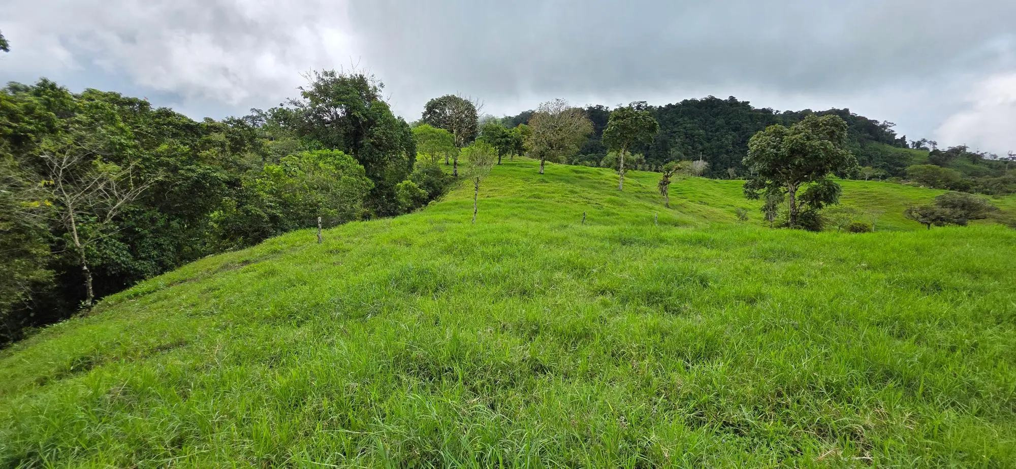 Cordillera Arriba, Boqueròn - Photo 88