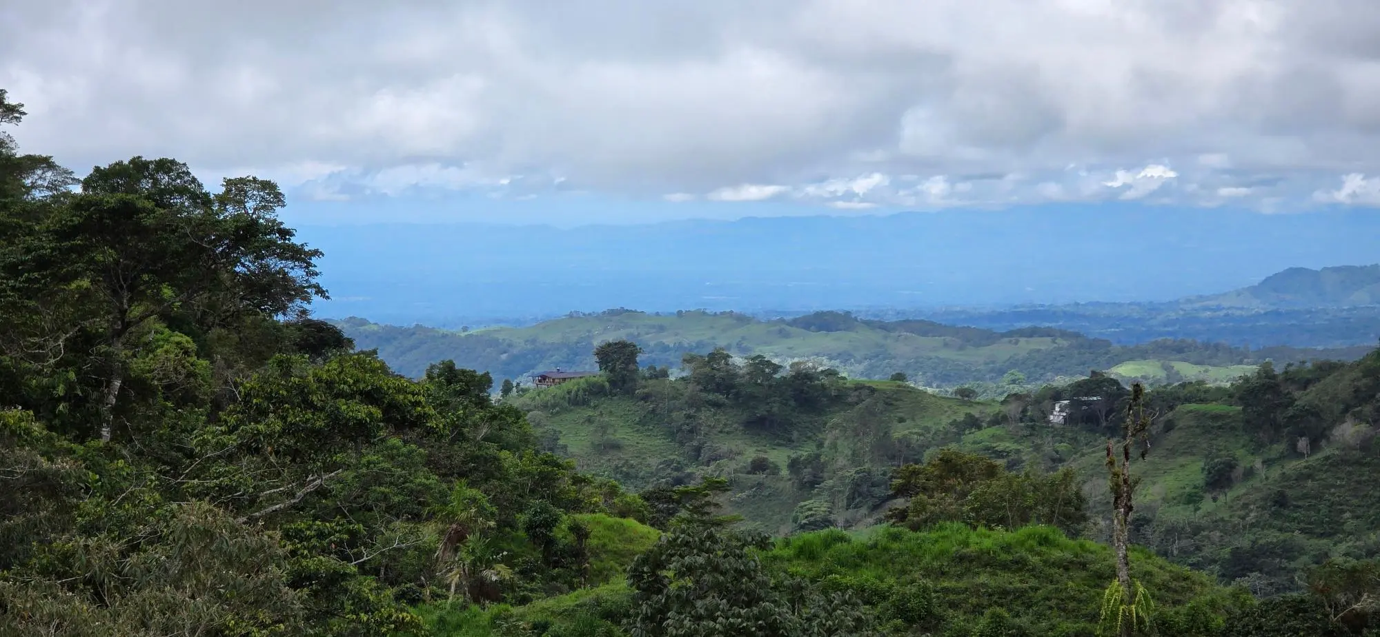 Cordillera Arriba, Boqueròn - Photo 32