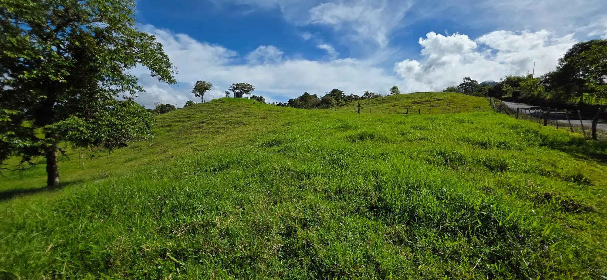 Cordillera Arriba, Boqueròn - Photo 80