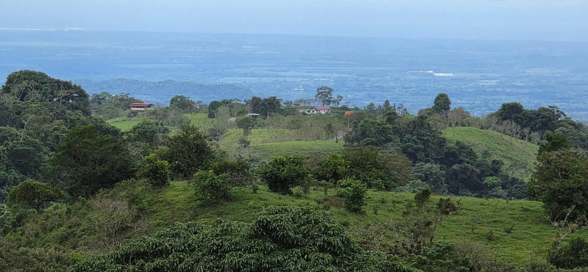 Cordillera Arriba, Boqueròn - Photo 99