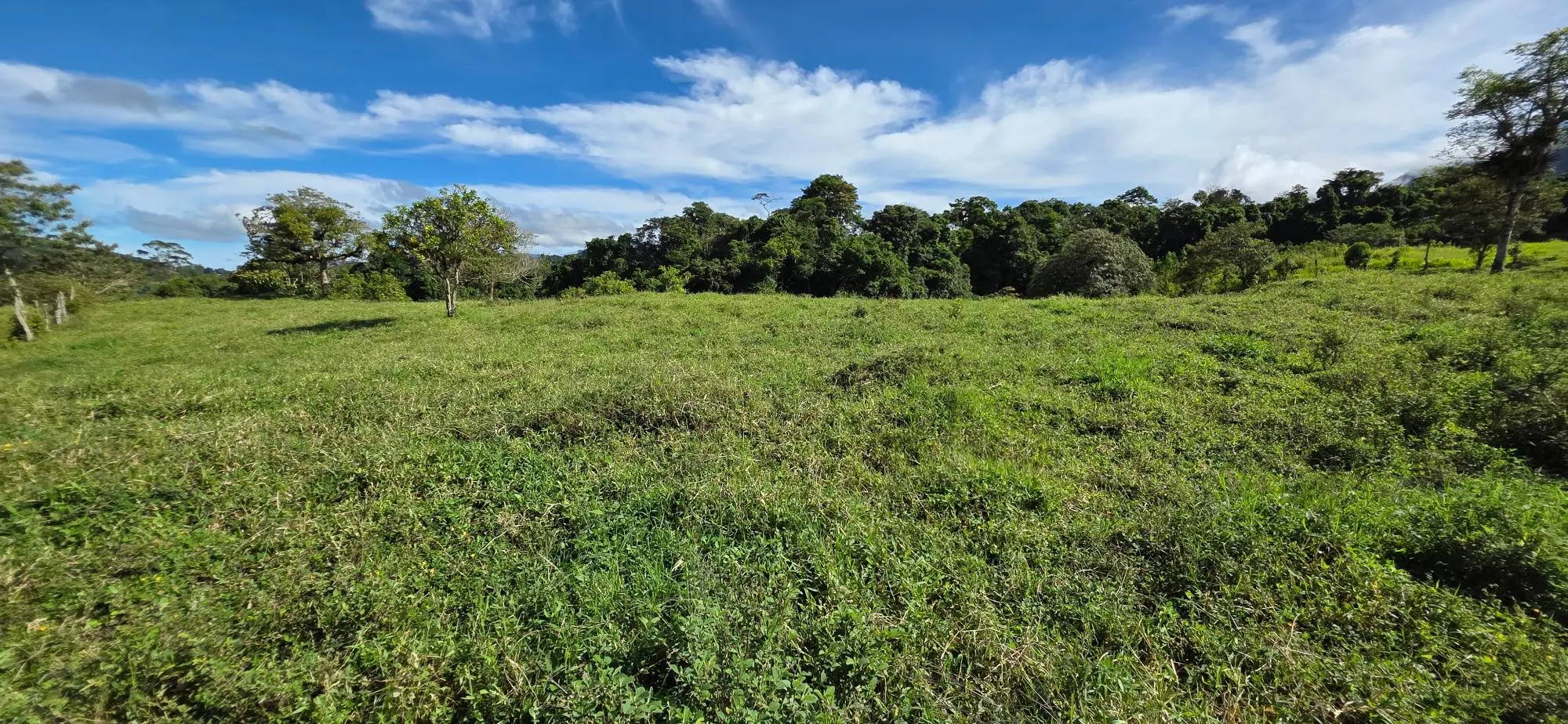 Cordillera Arriba, Boqueròn - Photo 70