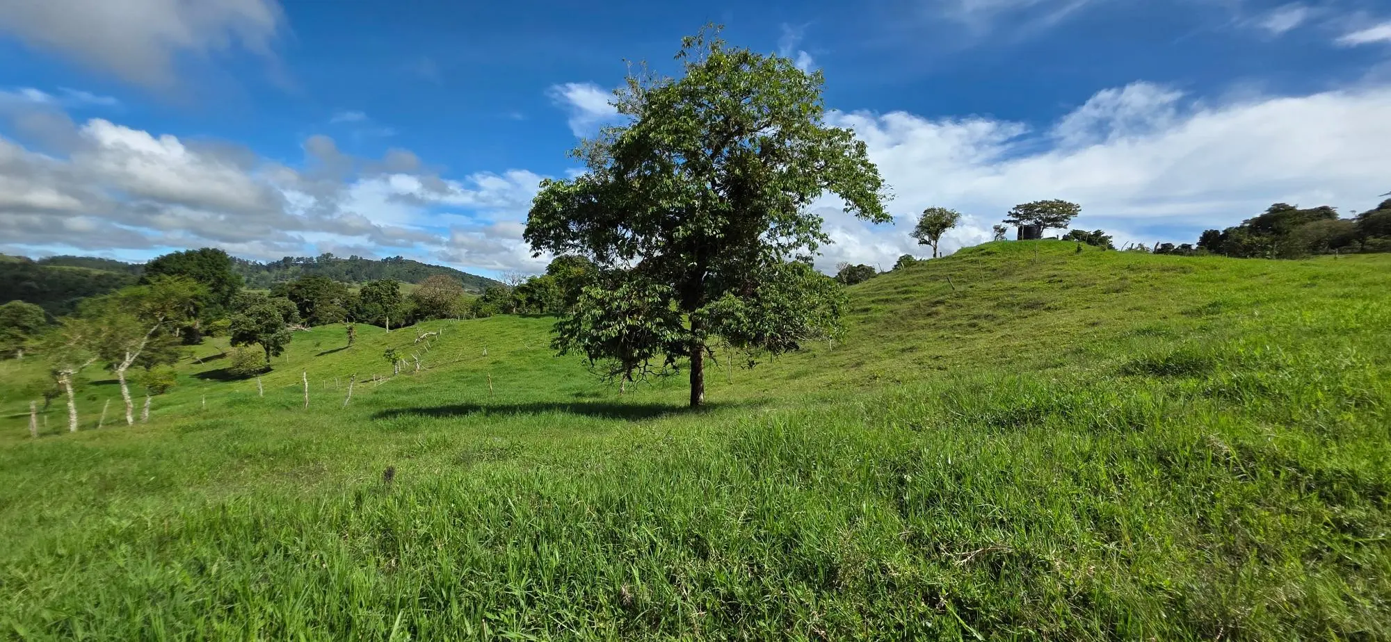 Cordillera Arriba, Boqueròn - Photo 50