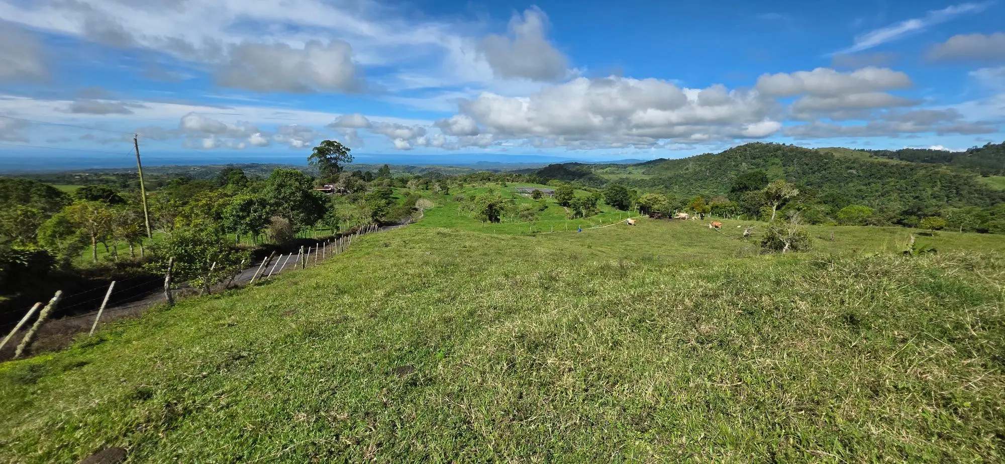 Cordillera Arriba, Boqueròn - Photo 74