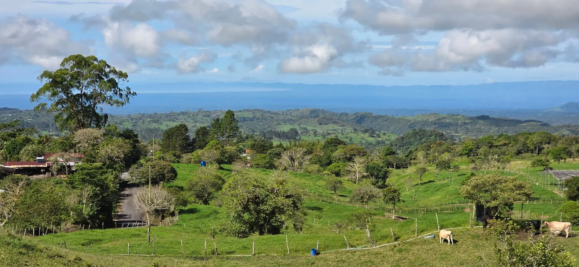 Cordillera Arriba, Boqueròn - Photo 6