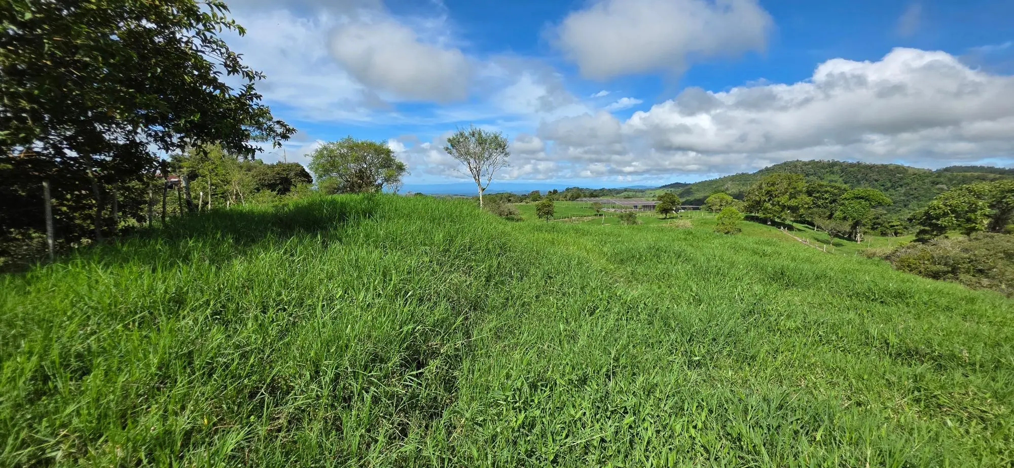 Cordillera Arriba, Boqueròn - Photo 38