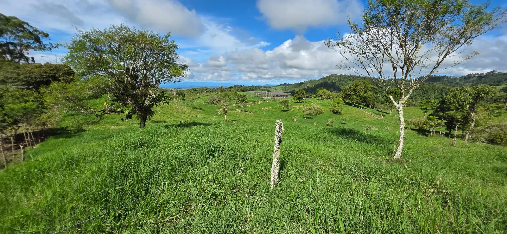 Cordillera Arriba, Boqueròn - Photo 59