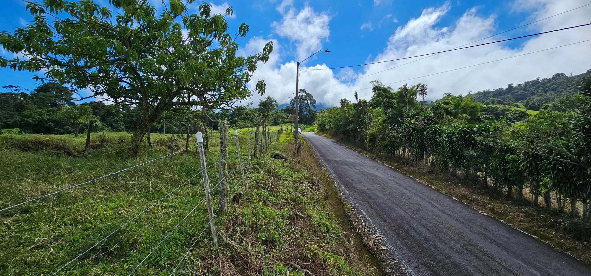 Cordillera Arriba, Boqueròn - Photo 100