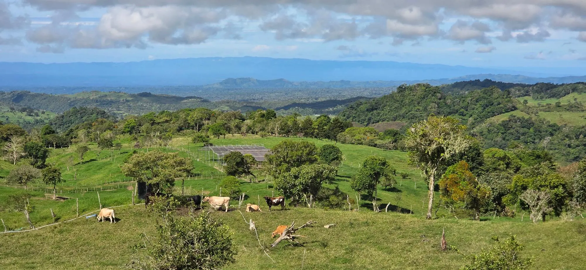 Cordillera Arriba, Boqueròn - Photo 15