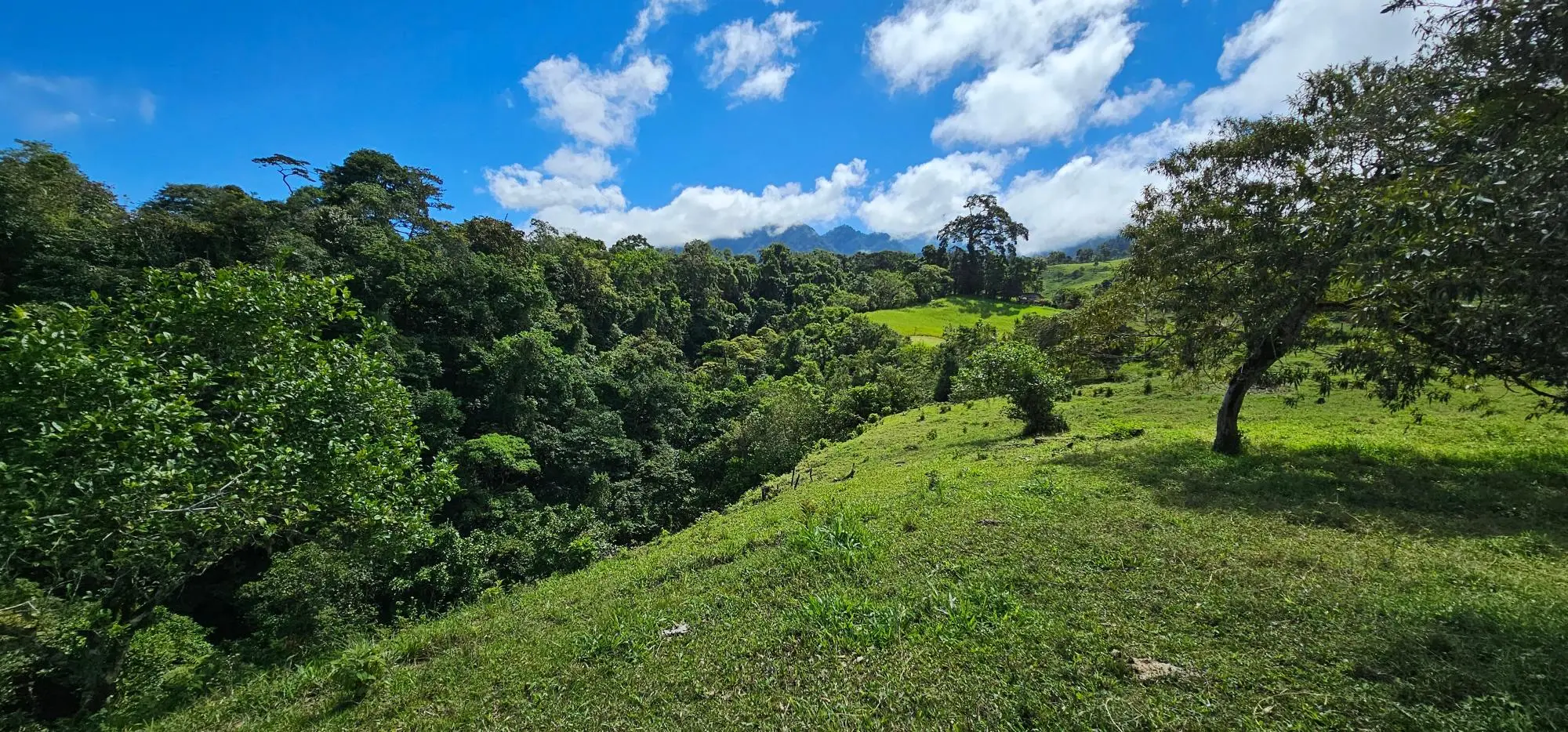 Cordillera Arriba, Boqueròn - Photo 40