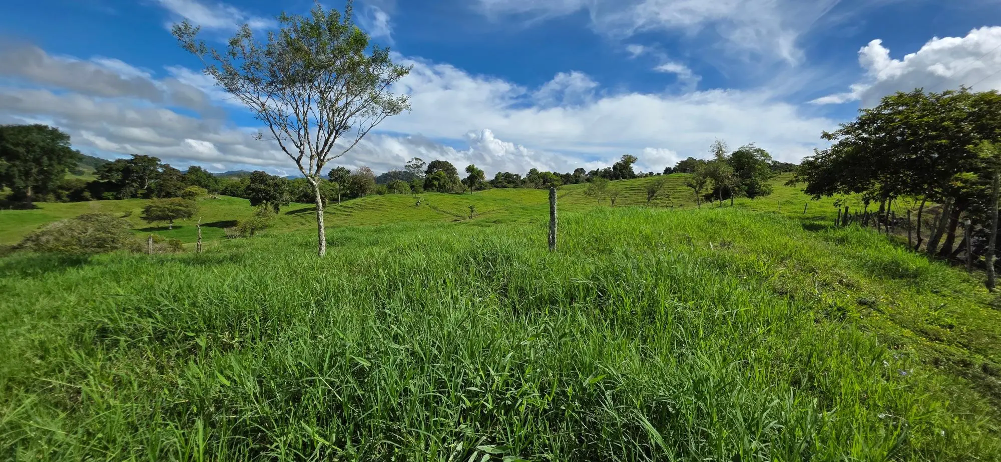 Cordillera Arriba, Boqueròn - Photo 23