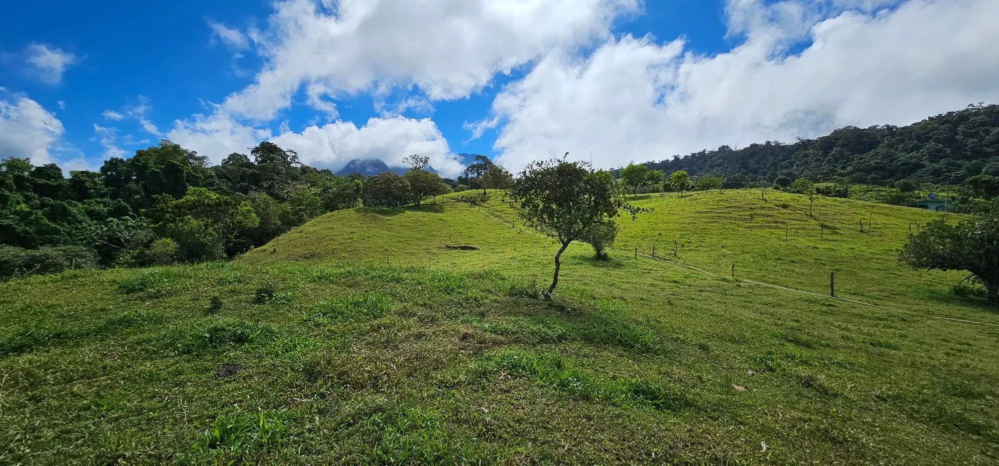 Cordillera Arriba, Boqueròn - Photo 3
