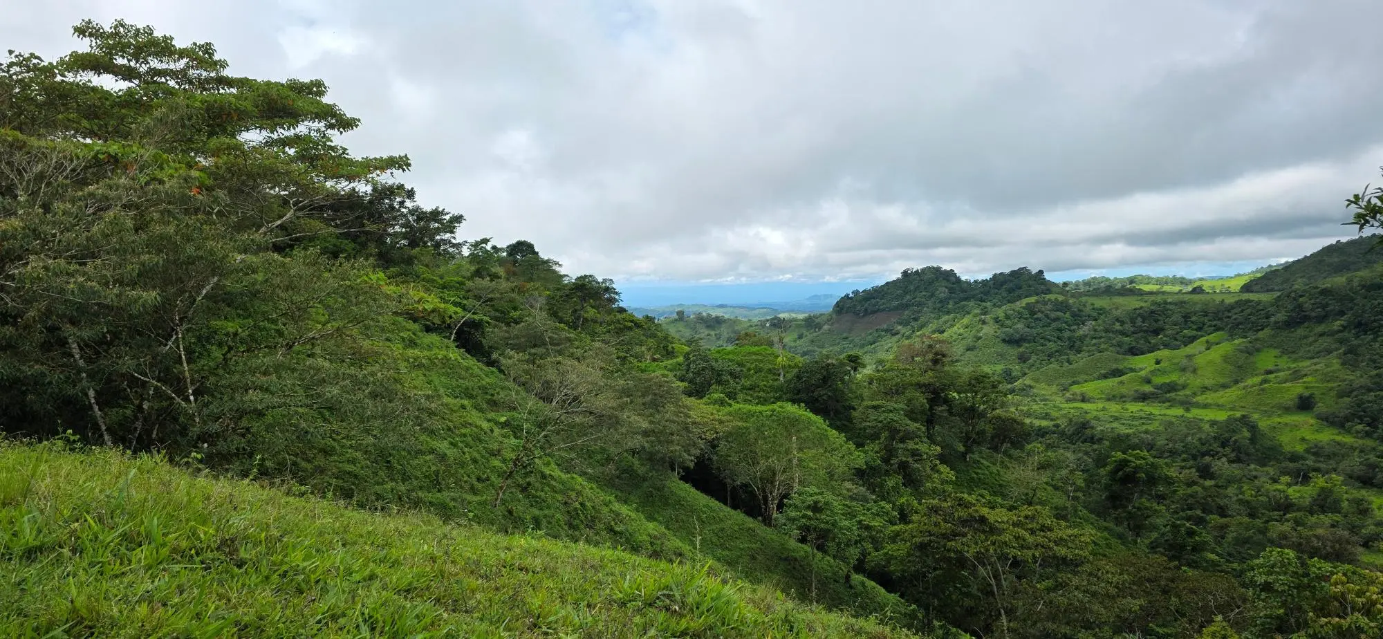 Cordillera Arriba, Boqueròn - Photo 95