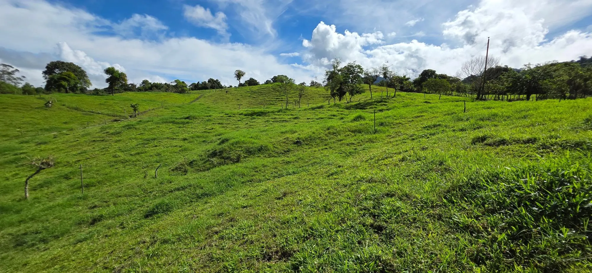 Cordillera Arriba, Boqueròn - Photo 36