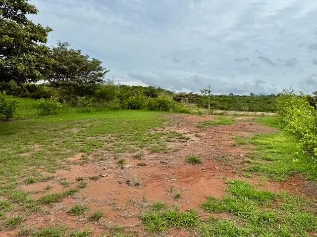 El Espino El Espino De San Carlos #1 - Photo 4