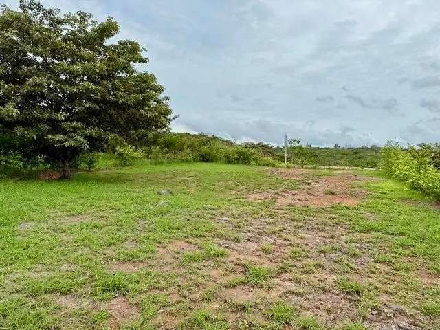 El Espino El Espino De San Carlos #1 - Photo 3