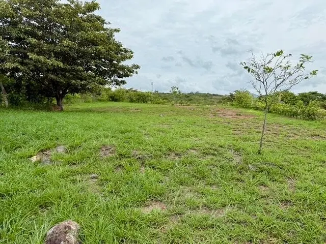 el espino el espino de san carlos #1