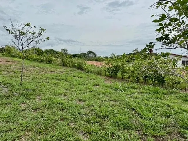 El Espino El Espino De San Carlos #1 - Photo 6