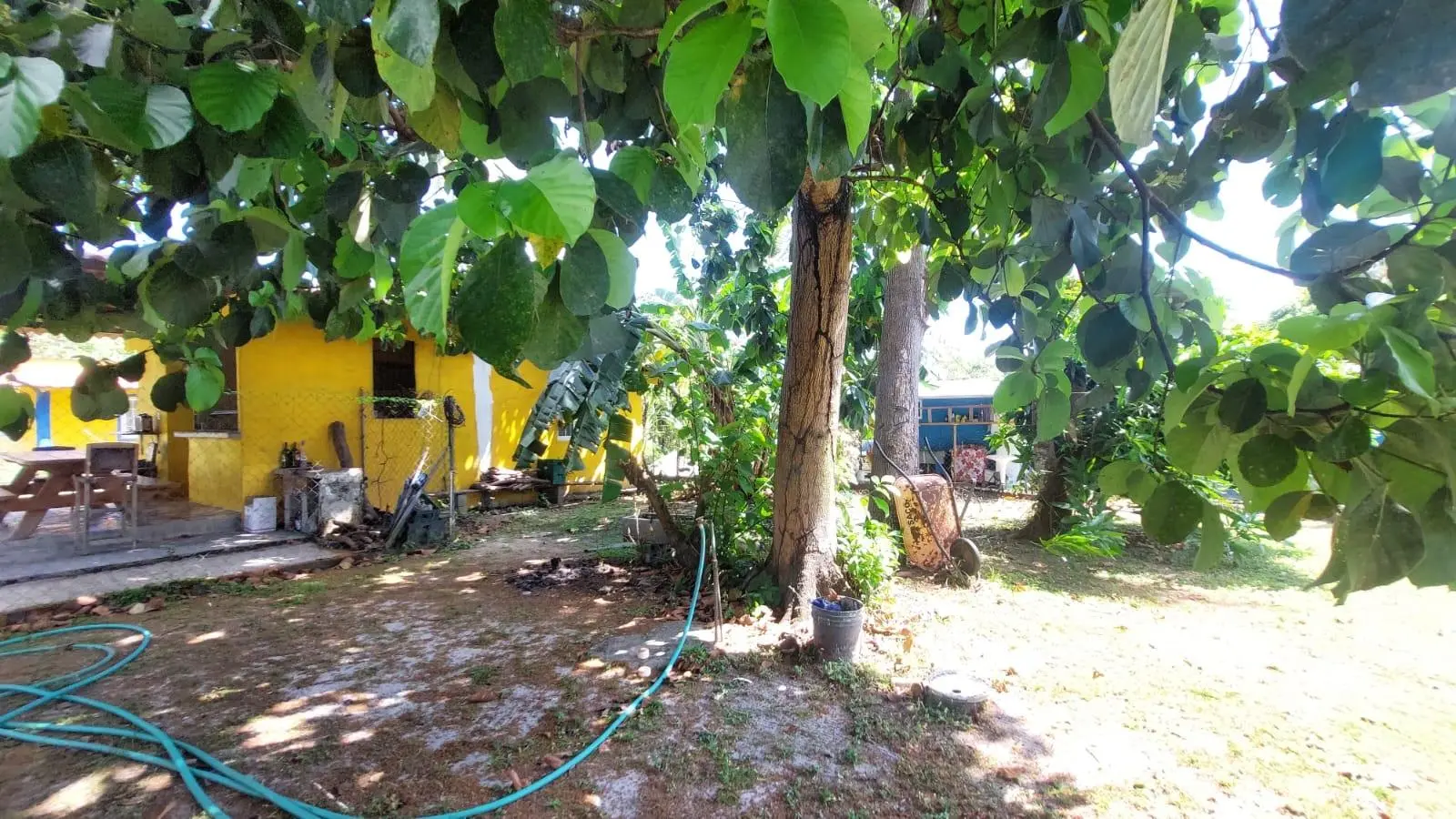 Calle Principal, Las Lajas, Coronado - Photo 34