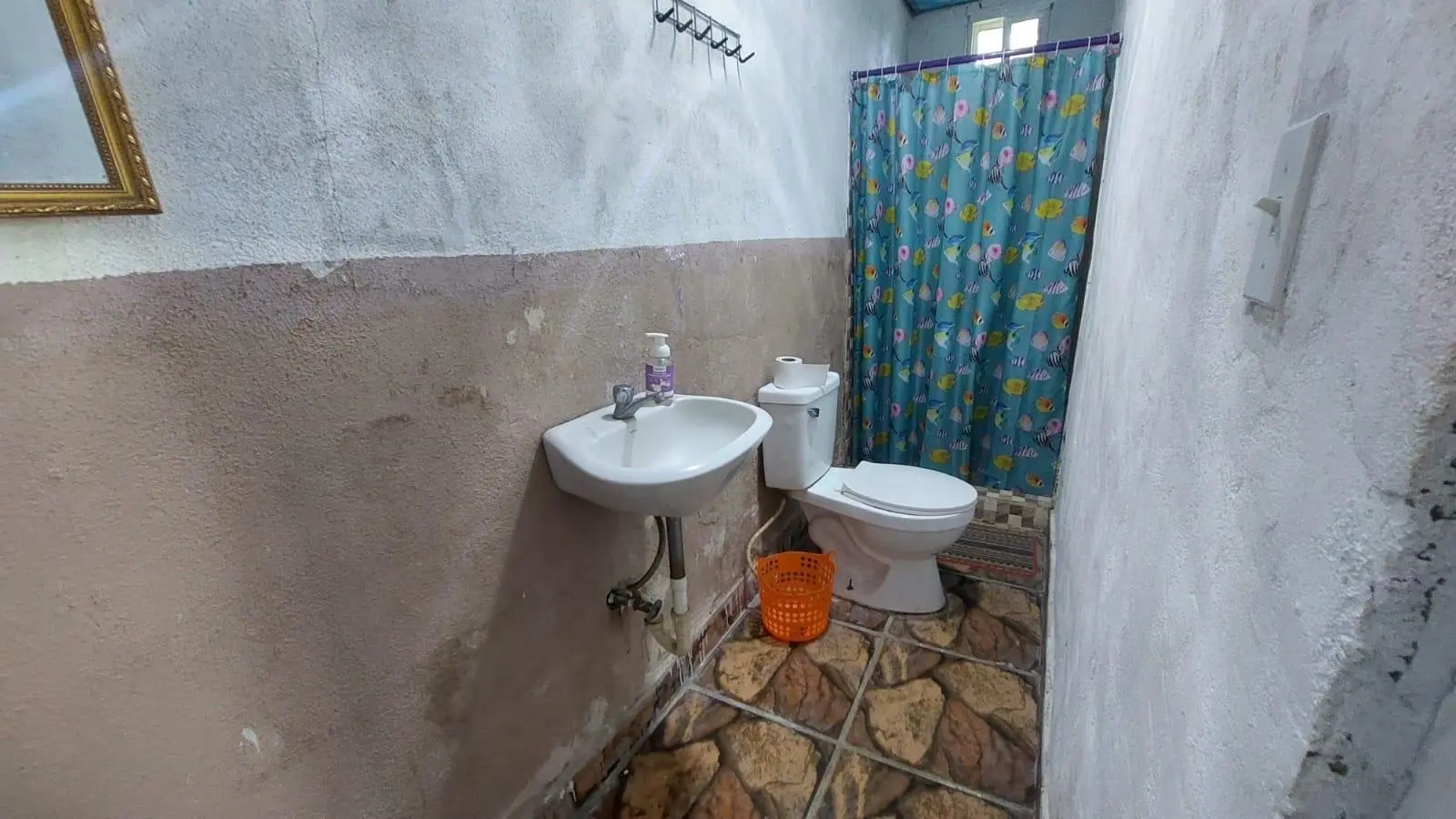 Calle Principal, Las Lajas, Coronado - Photo 59