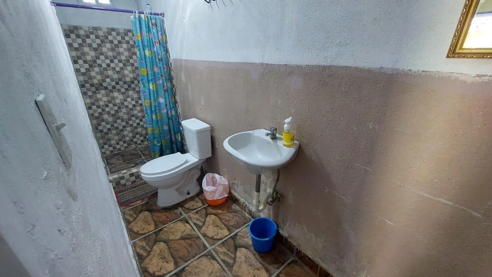 Calle Principal, Las Lajas, Coronado - Photo 49