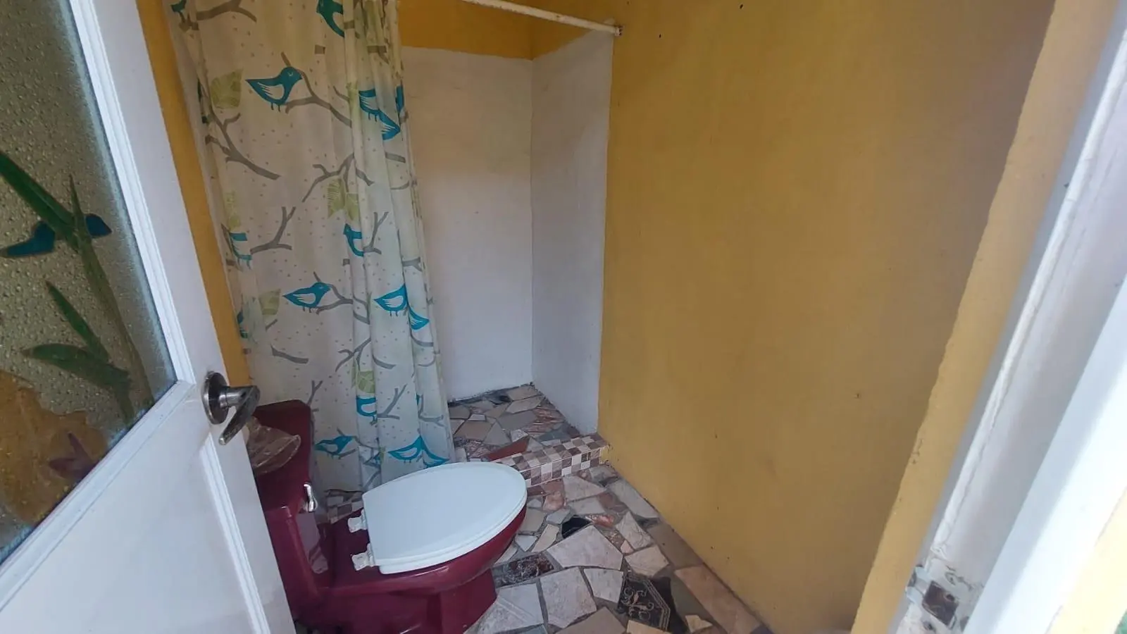 Calle Principal, Las Lajas, Coronado - Photo 64