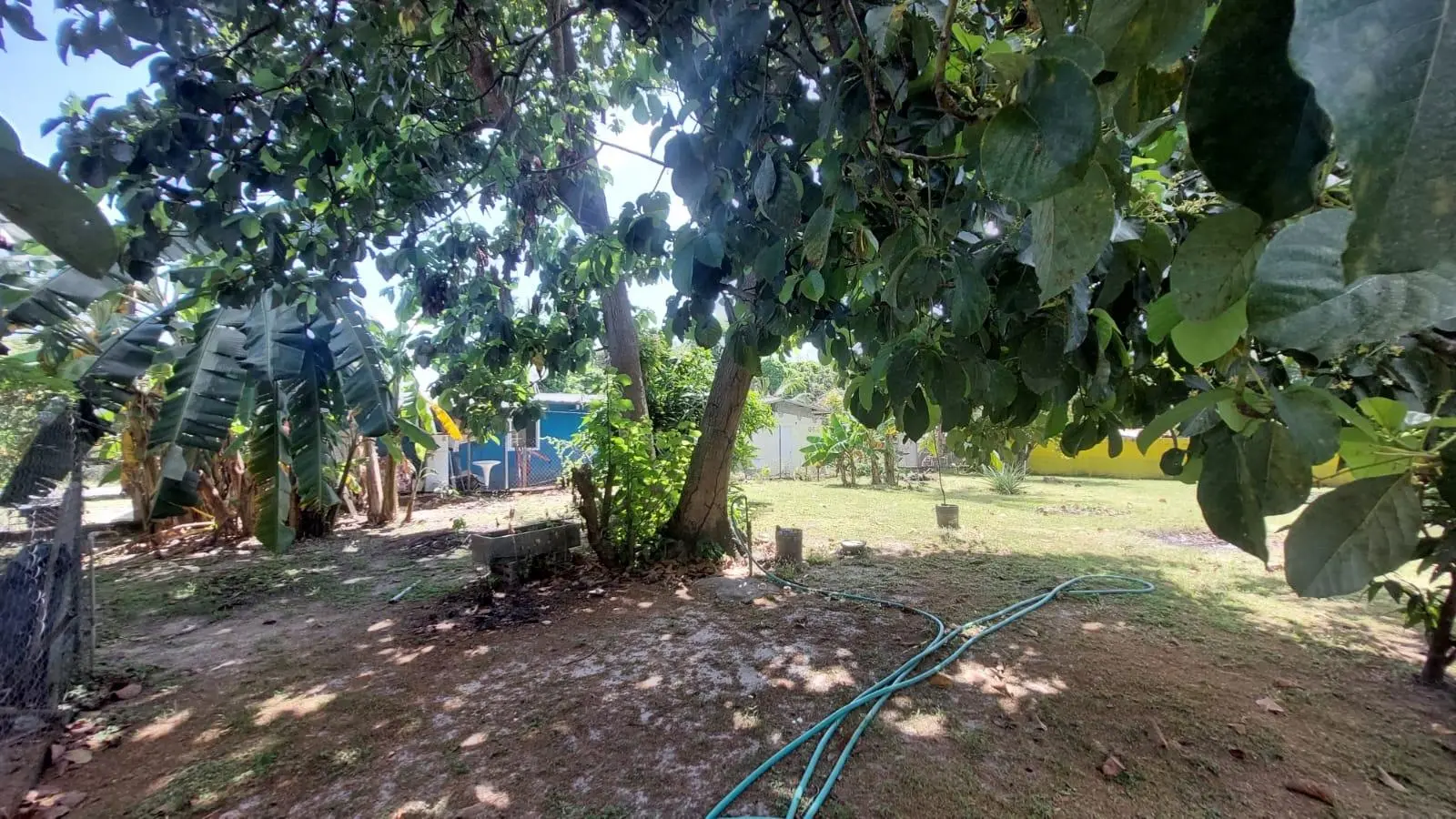 Calle Principal, Las Lajas, Coronado - Photo 44