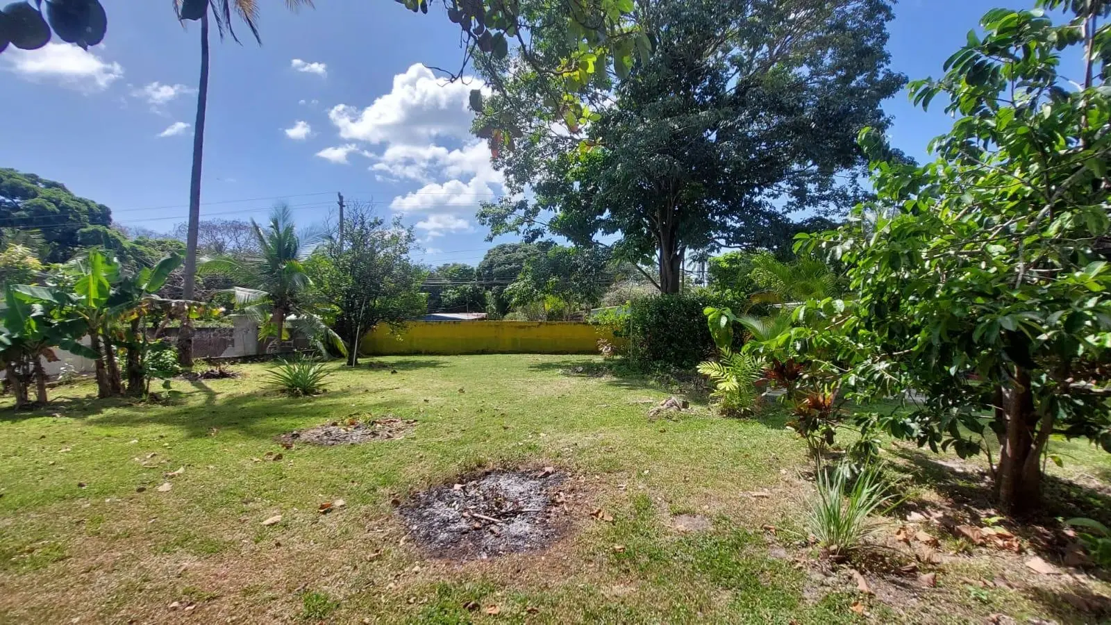 Calle Principal, Las Lajas, Coronado - Photo 67