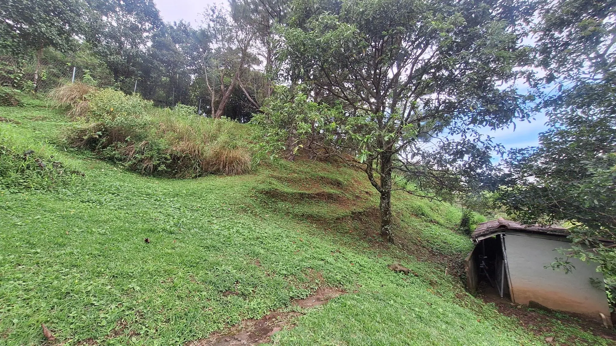 Calle Cozy Mountain Cabin Inc. - Photo 19