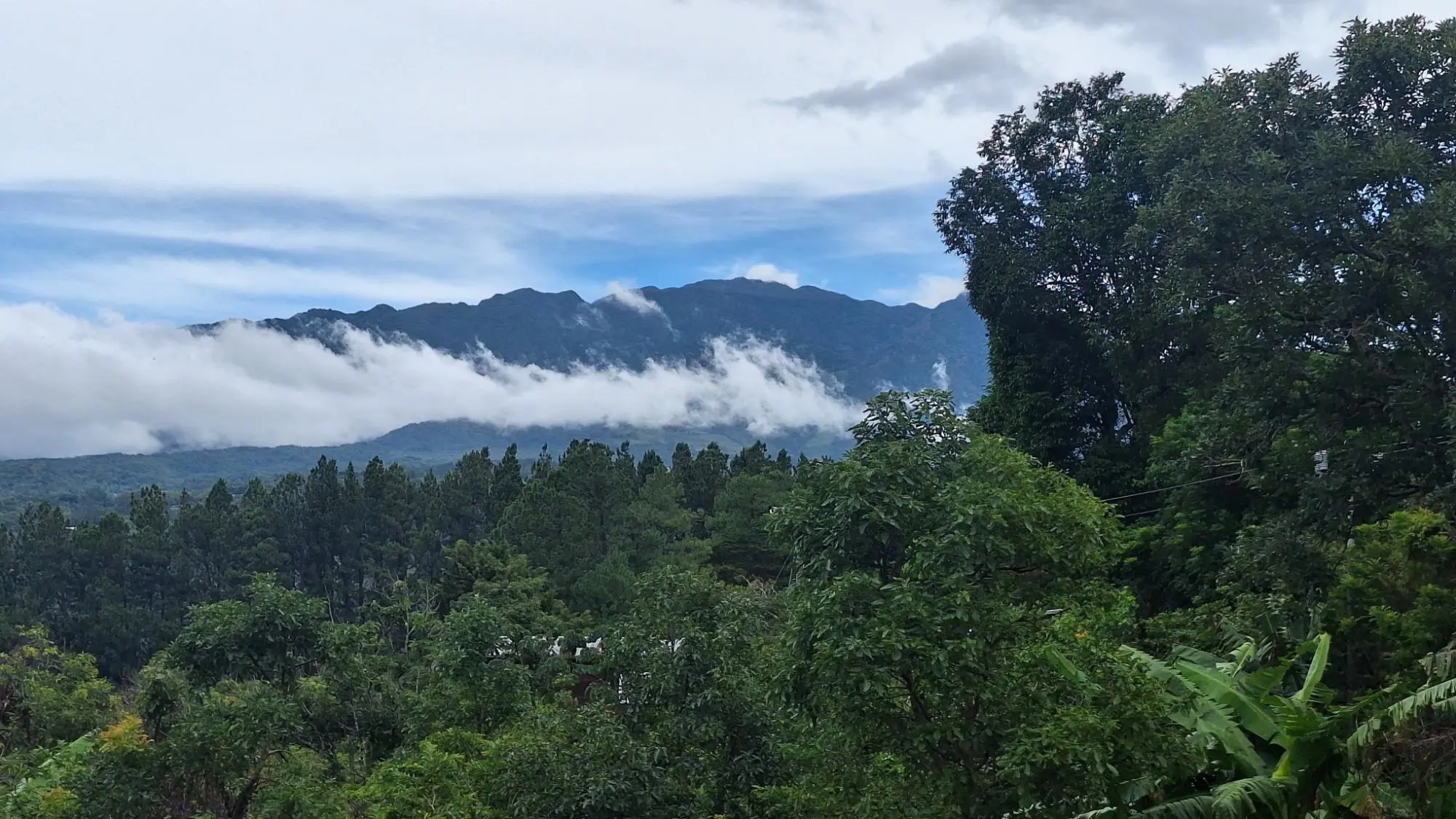 Calle Cozy Mountain Cabin Inc. - Photo 20