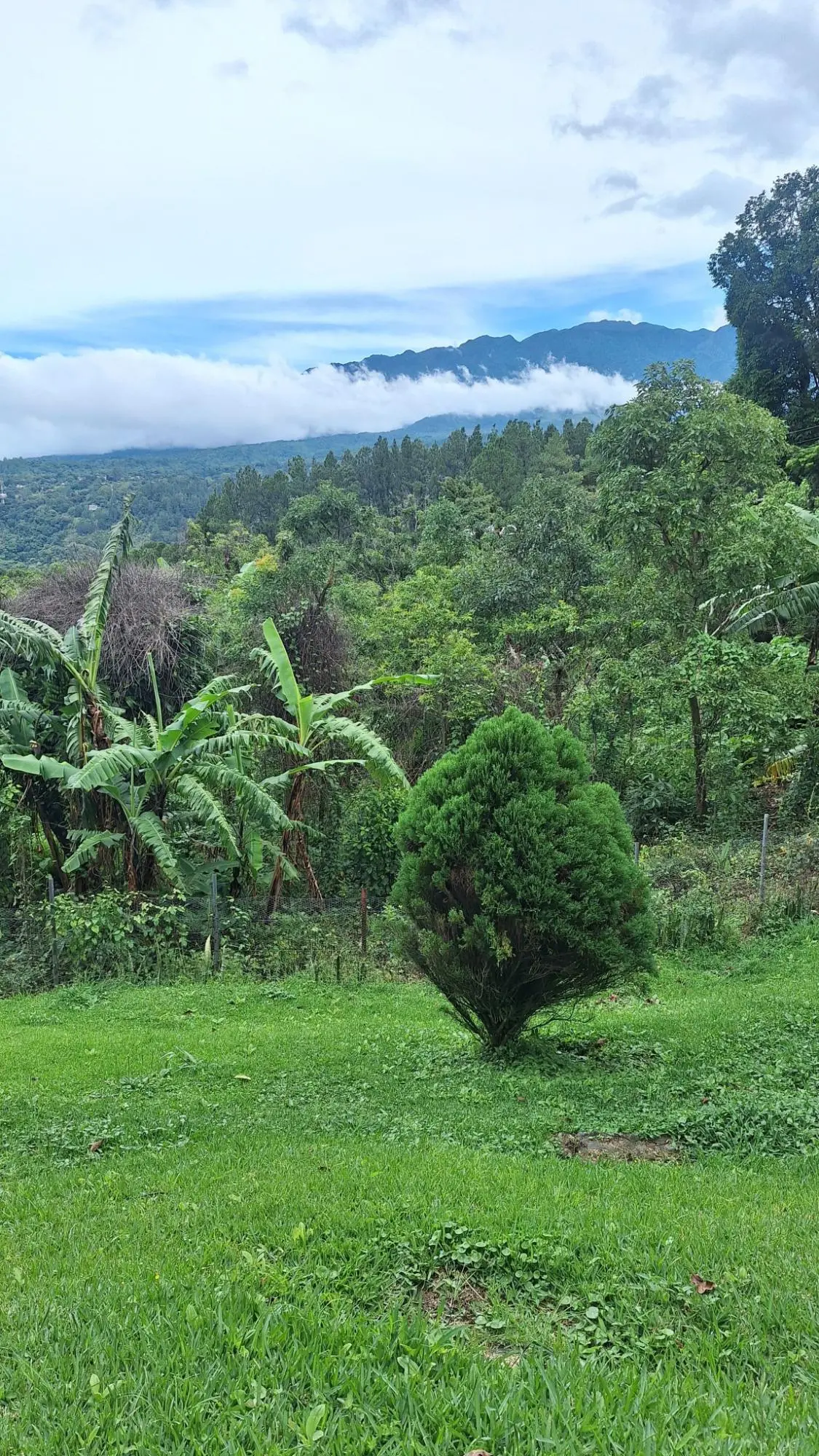 Calle Cozy Mountain Cabin Inc. - Photo 25