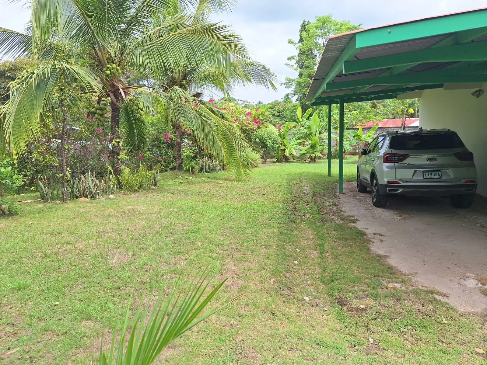 Las Lajas, Tercera Calle A La Izquierda Y 100 Mt Adelante A La Izquierda - Photo 8