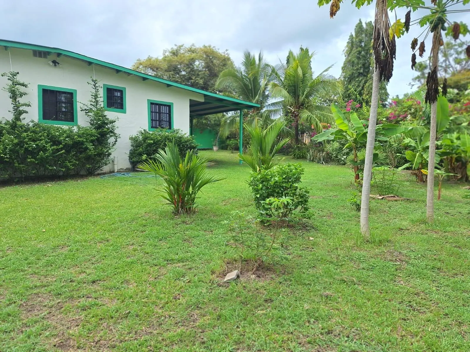 Las Lajas, Tercera Calle A La Izquierda Y 100 Mt Adelante A La Izquierda - Photo 2