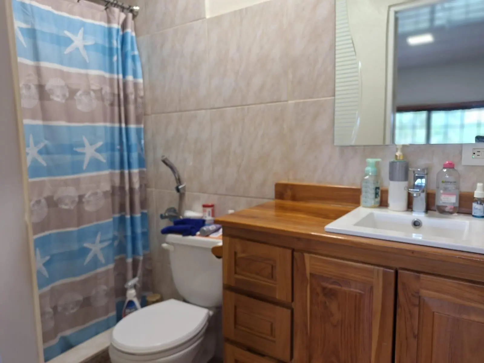 Las Lajas, Tercera Calle A La Izquierda Y 100 Mt Adelante A La Izquierda - Photo 29