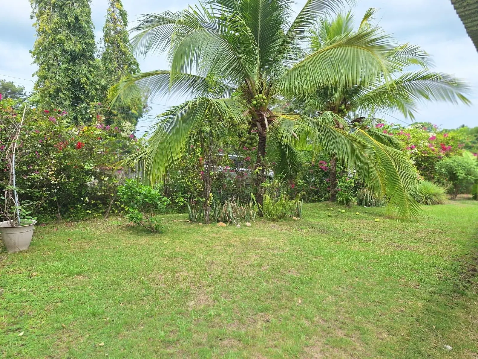 Las Lajas, Tercera Calle A La Izquierda Y 100 Mt Adelante A La Izquierda - Photo 7