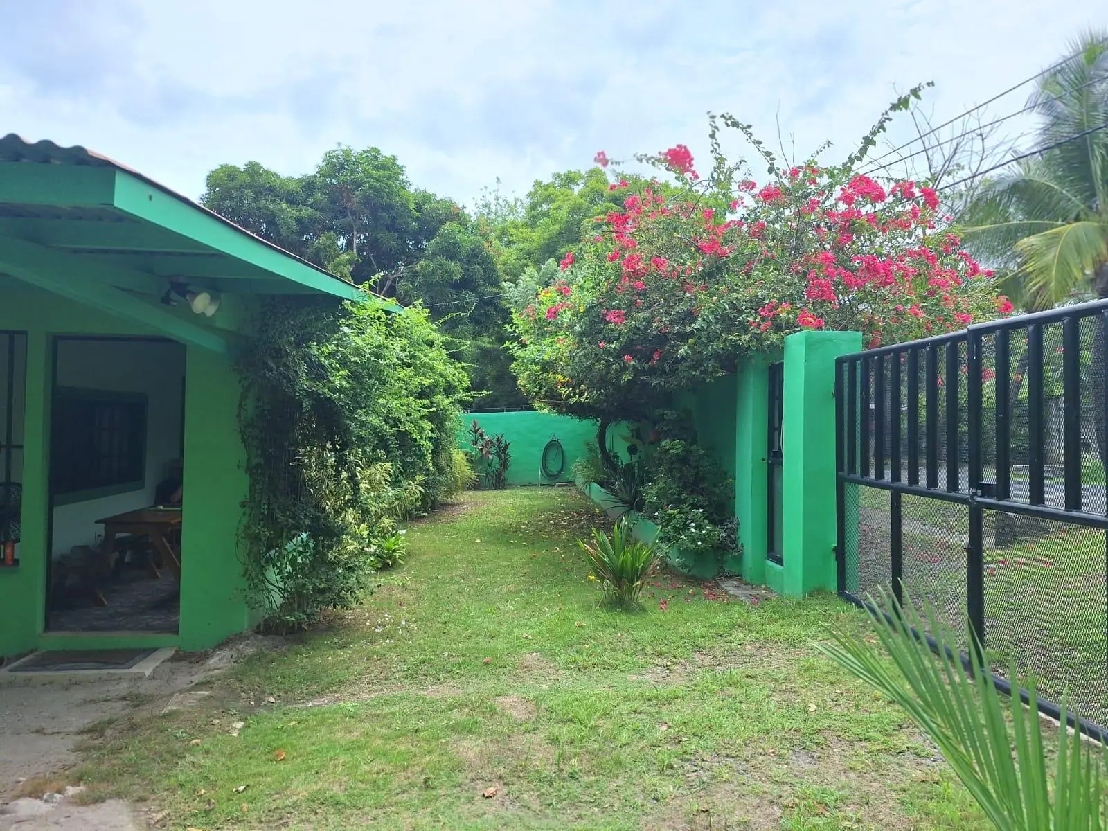 Las Lajas, Tercera Calle A La Izquierda Y 100 Mt Adelante A La Izquierda - Photo 11