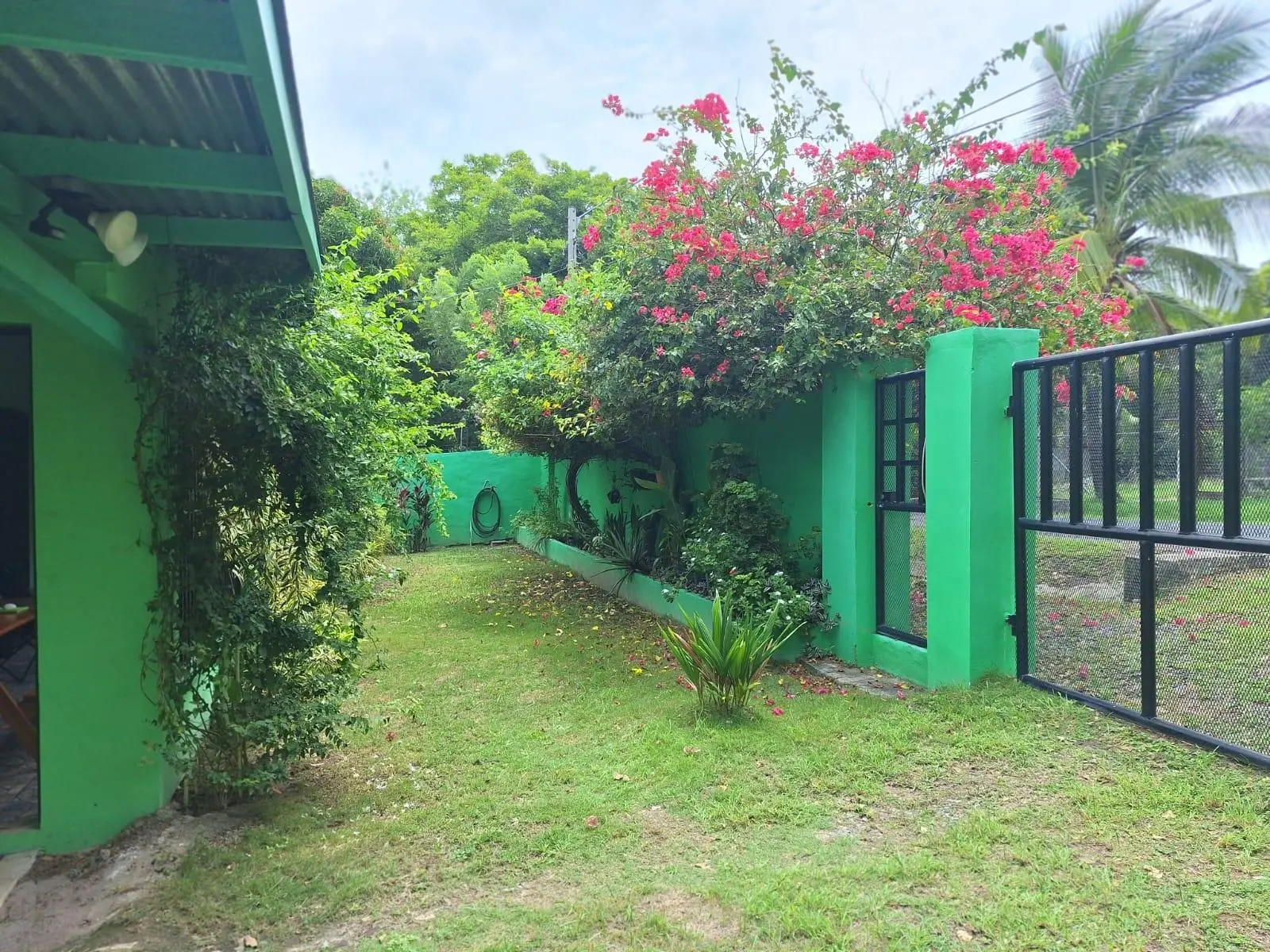 Las Lajas, Tercera Calle A La Izquierda Y 100 Mt Adelante A La Izquierda - Photo 13