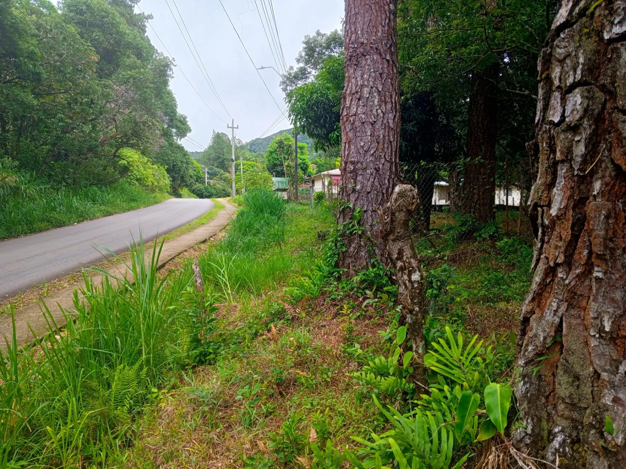 Lot 1574.64m² Jaramillo - Photo 2