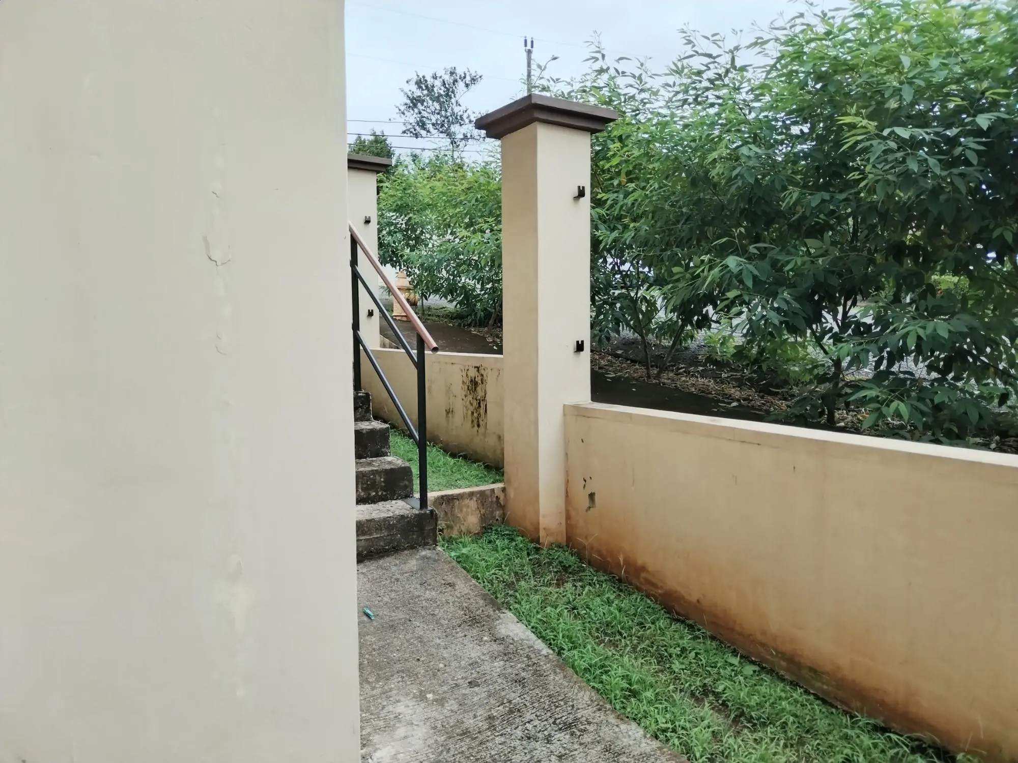 David Chiriqui - Photo 153