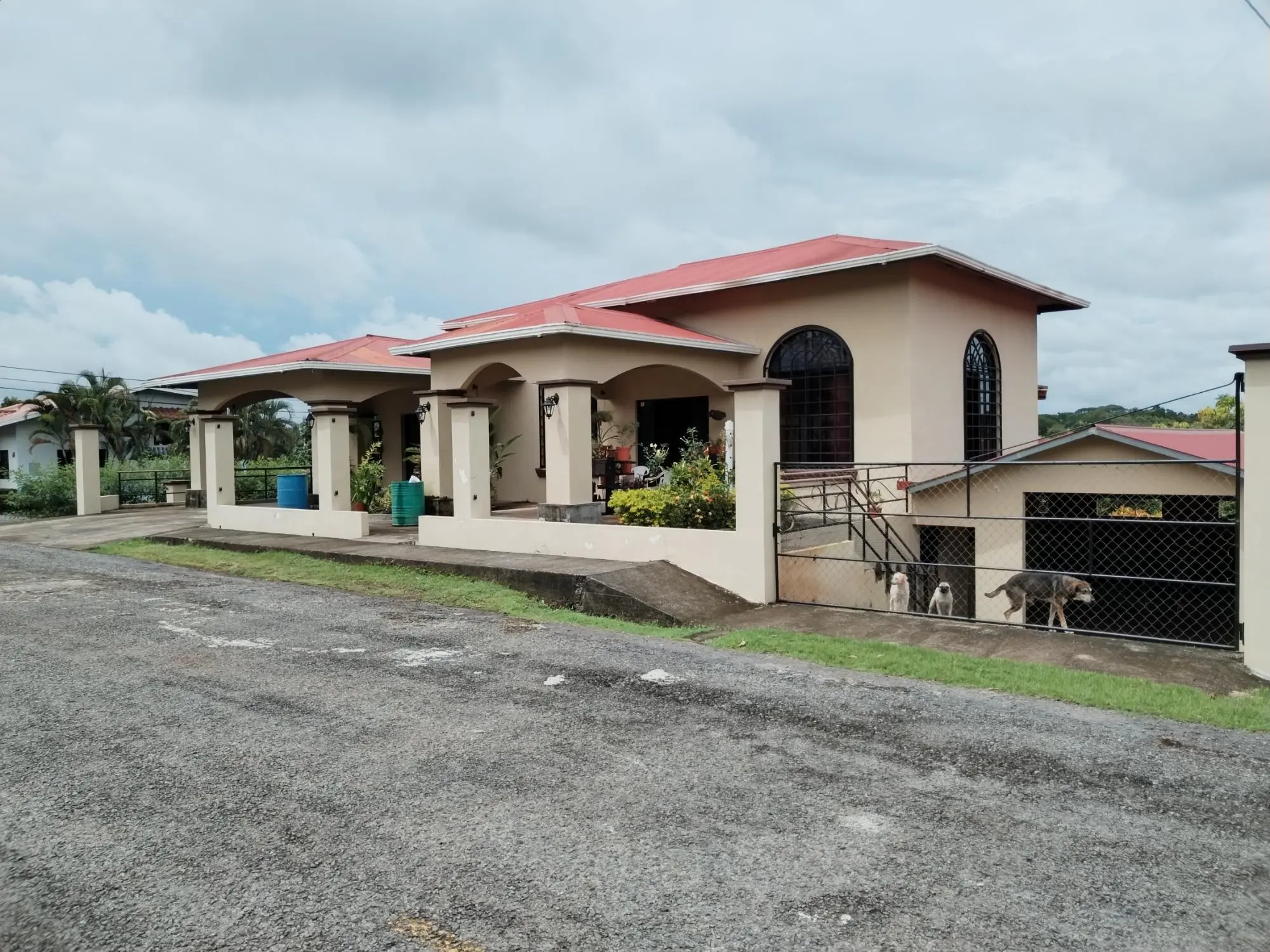 David Chiriqui - Photo 4