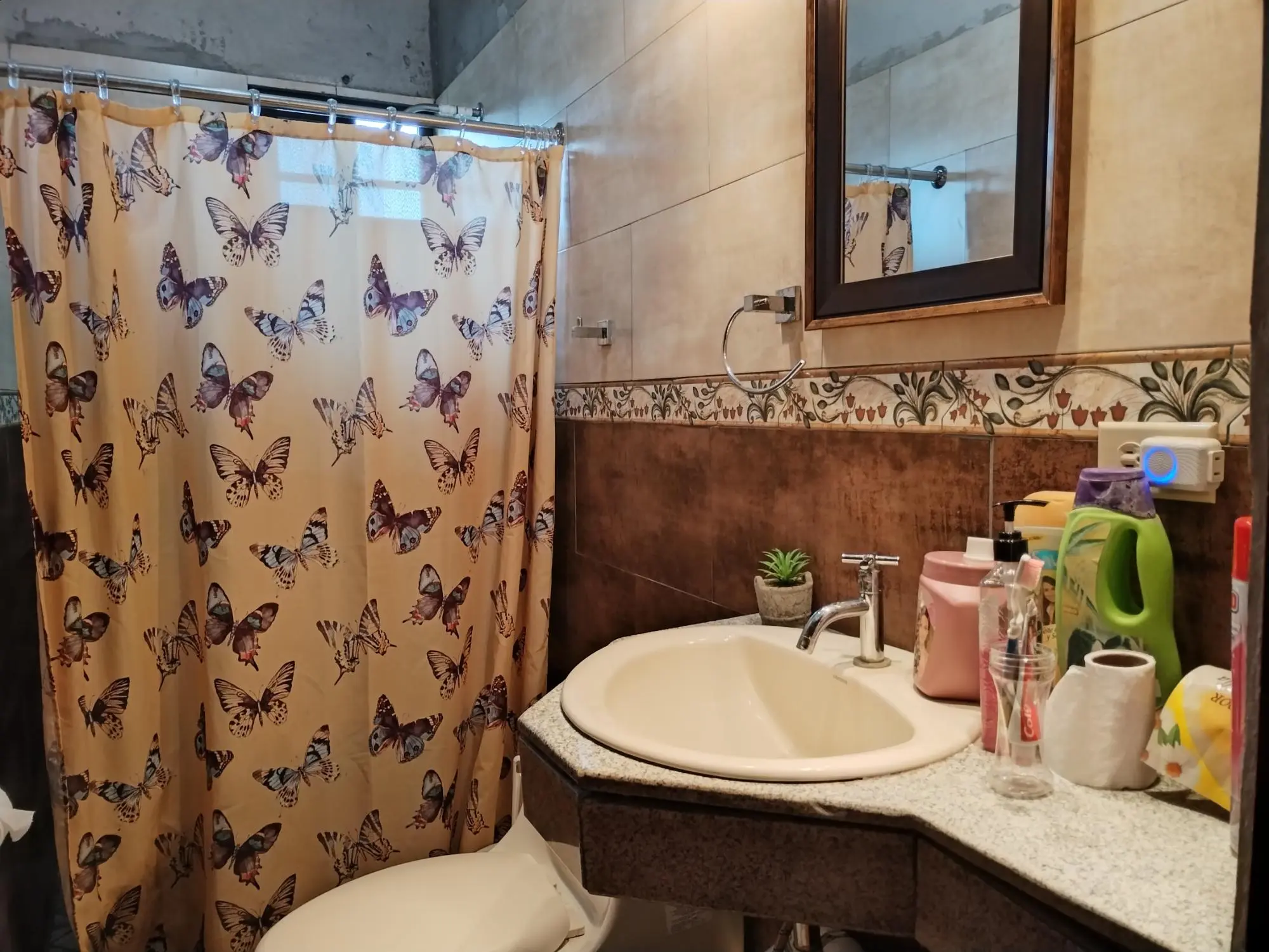 David Chiriqui - Photo 94