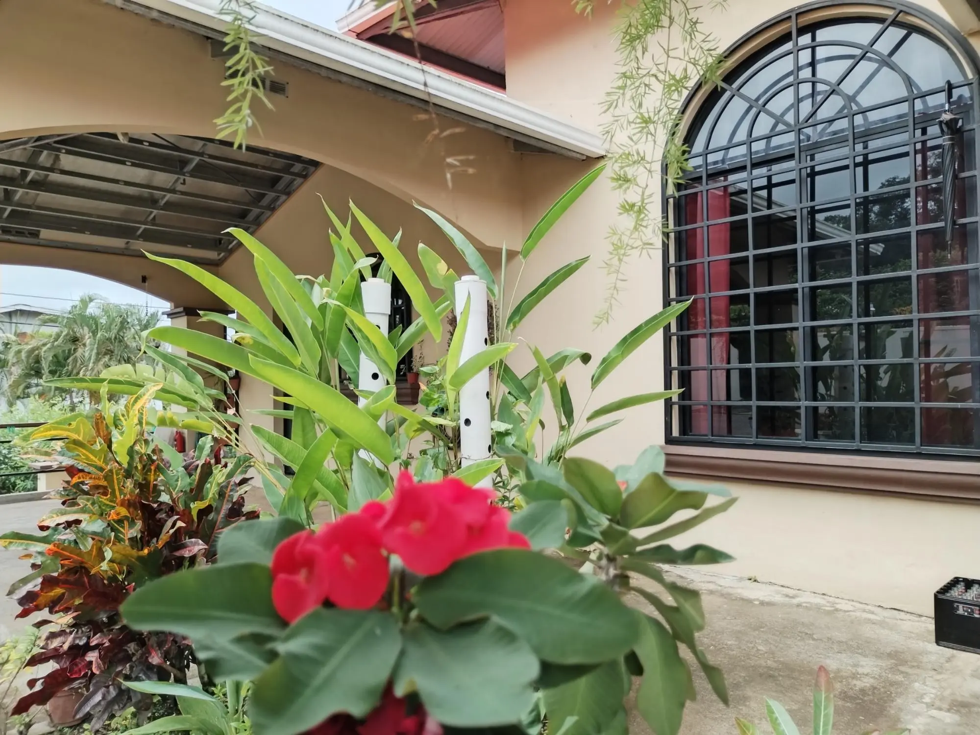 David Chiriqui - Photo 23