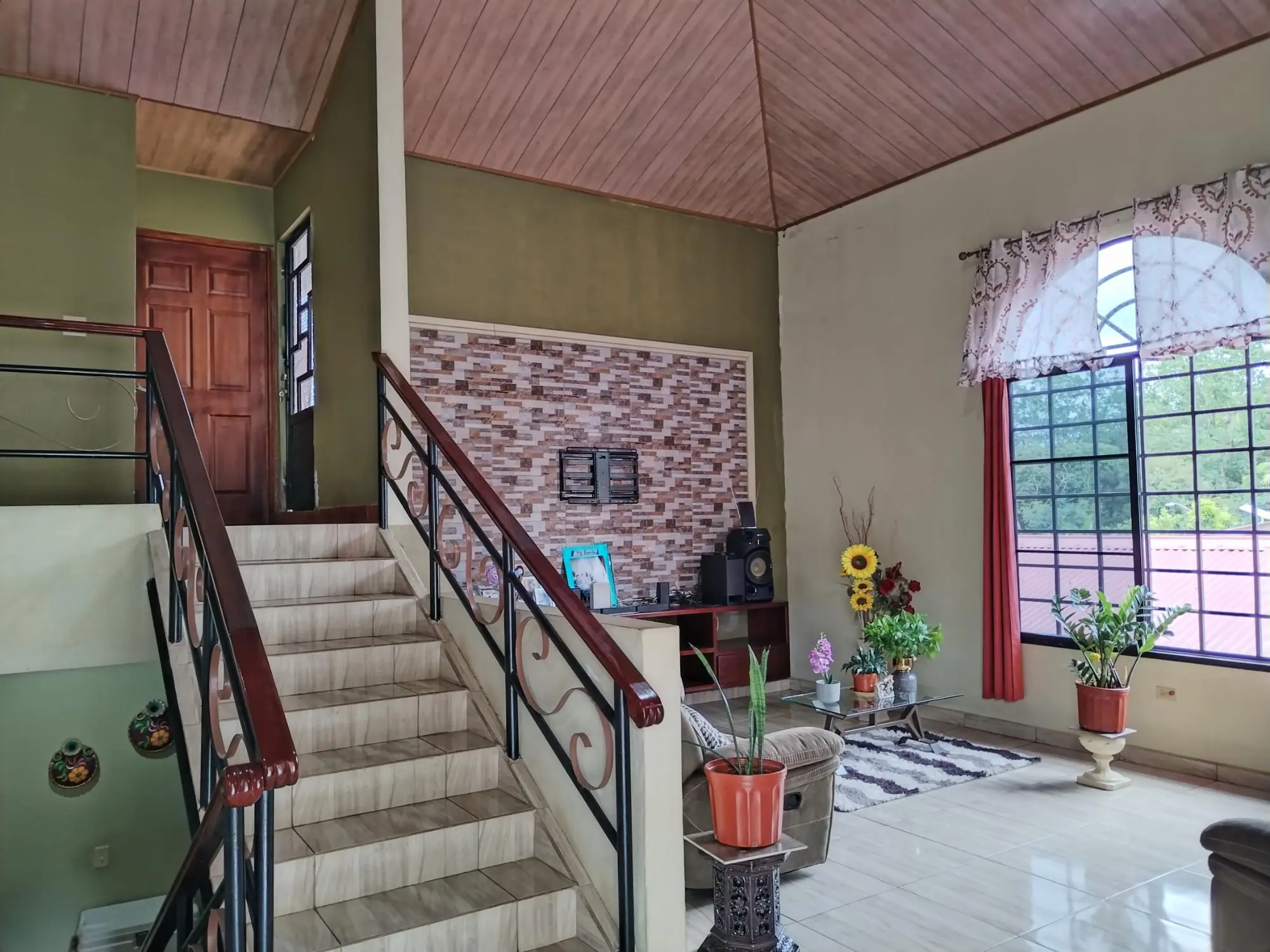 David Chiriqui - Photo 30